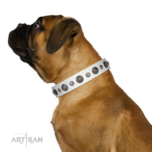 Convenient full grain leather dog collar with corrosion resistant fittings