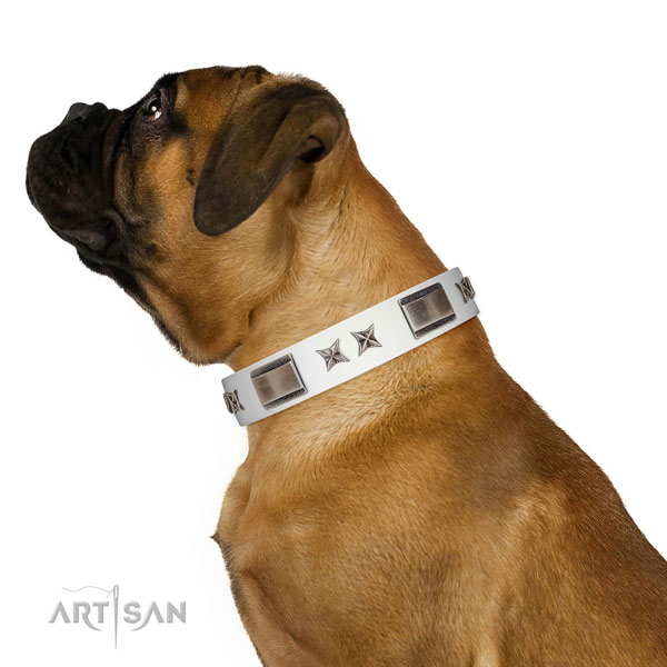 Exquisite collar of full grain genuine leather for your attractive four-legged friend
