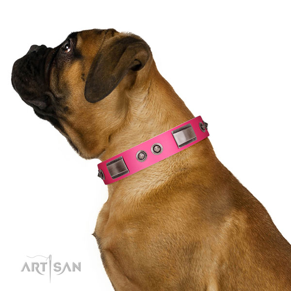 Unusual genuine leather dog collar with decorations