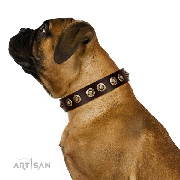 Corrosion resistant buckle on leather dog collar for easy wearing