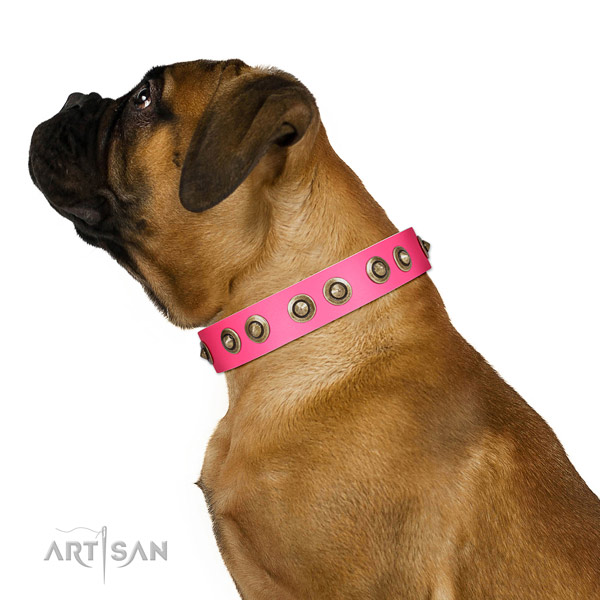 Full grain leather collar with decorations for your attractive dog