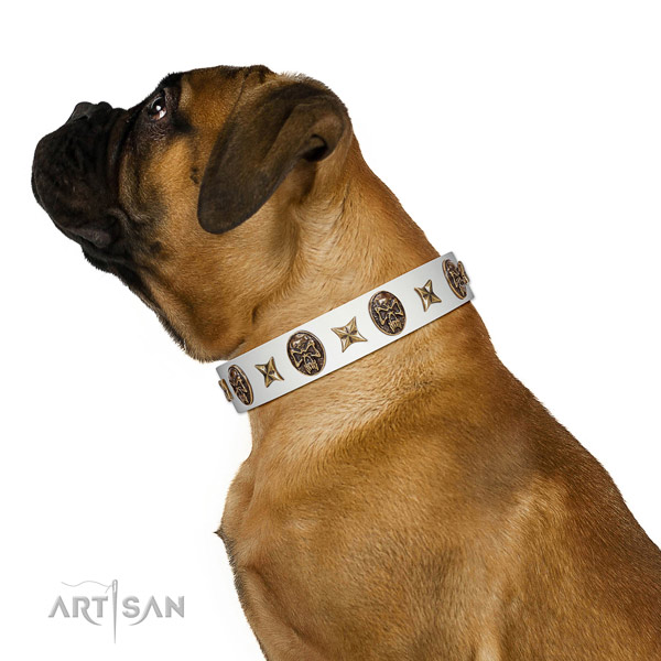Fashionable dog collar handcrafted for your stylish pet