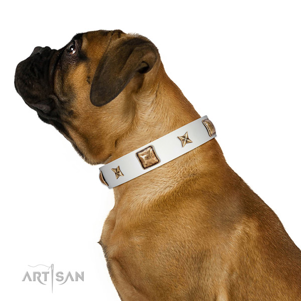 Full grain natural leather collar with embellishments for your stylish dog