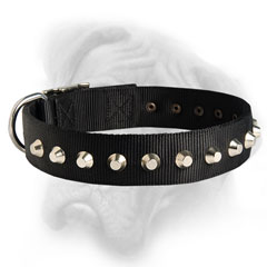 Cool nylon Bullmastiff Collar with pyramids