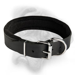 Bullmastiff quality leather dog collar with felt padding