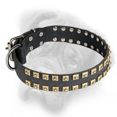 Leather Caterpillar Bullmastiff collar for everyday walks