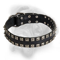 Leather Dog Harness with Studs