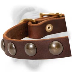 Safe Bullmastiff puppy collar with rustproof brass  circles
