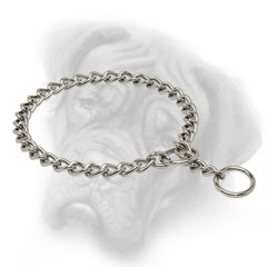 Choke chain collar for Bullmastiff behavior correction