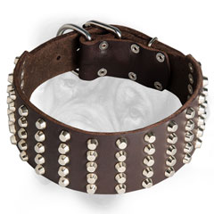 Chic Bullmastiff collar decorated with nickel pyramids