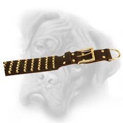 Easy adjustable leather Bullmastiff collar