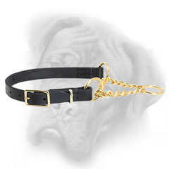 Martingale collar with a buckle for Bullmastiff