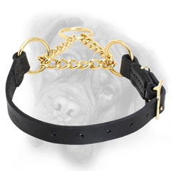 Authentic leather Bullmastiff martingale collar with  brass loop