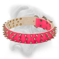 Splendid pink Bullmastiff collar easy in handling