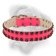 Pink Caterpillar Bullmastiff  collar for  female dogs