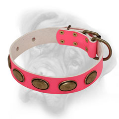Chic pink Bullmastiff collar with neat decorations