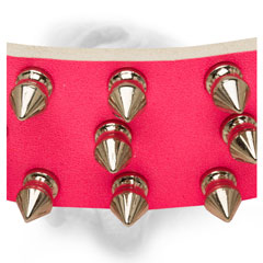 Nickel spikes for pink Bullmastiff collar