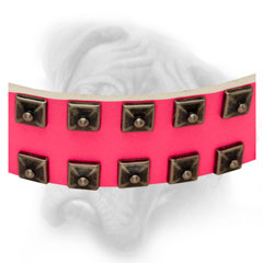 Adjustable pink Bullmastiff collar with square studs