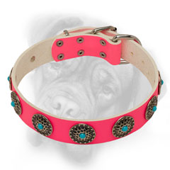 Pink Bullmastiff collar with polished edges
