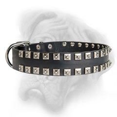 Top quality leather Bullmastiff collar