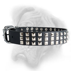 Comfortable Bullmastiff collar of top quality