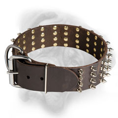 Leather Bullmastiff collar with nickel hardware