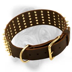 Decorated Bullmastiff collar with brass tough fittings