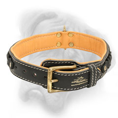 Bullmastiff collar with fur protection plate