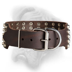 Trendy Bullmastiff collar with tough metalware