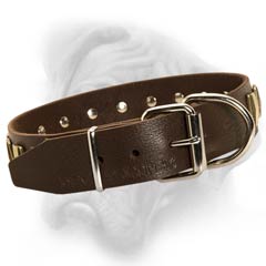 Quality leather Bullmastiff collar with strong buckle