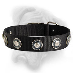 Cool Dog collar for Bullmastiff breed