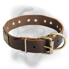 Awesome and Fancy Bullmastiff breed collar