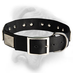 Functional and fancy Bullmastiff Collar