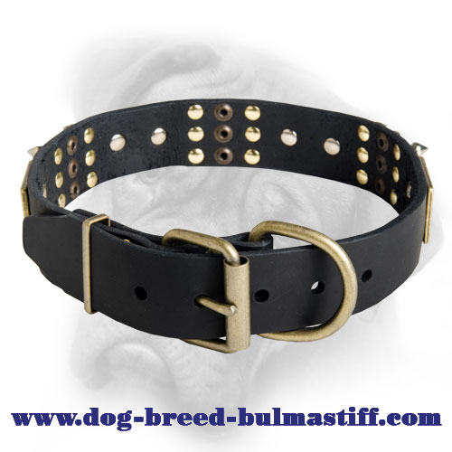 The Best Designer Leather Dog Collar with Massive Plates and Spikes for  Bullmastiff breed [C84##1014 Brass massive plates with 6 nickel spikes 3  pyramids] : Bullmastiff dog harness, Bullmastiff dog muzzle, Bullmastiff