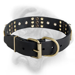 Tremendous leather dog collar