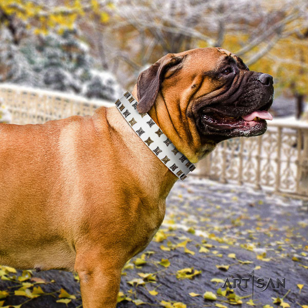 Bullmastiff everyday use full grain leather collar with decorations for your four-legged friend