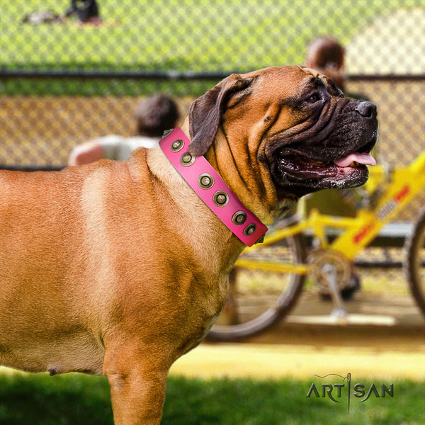 Bullmastiff basic training full grain genuine leather collar with adornments for your pet