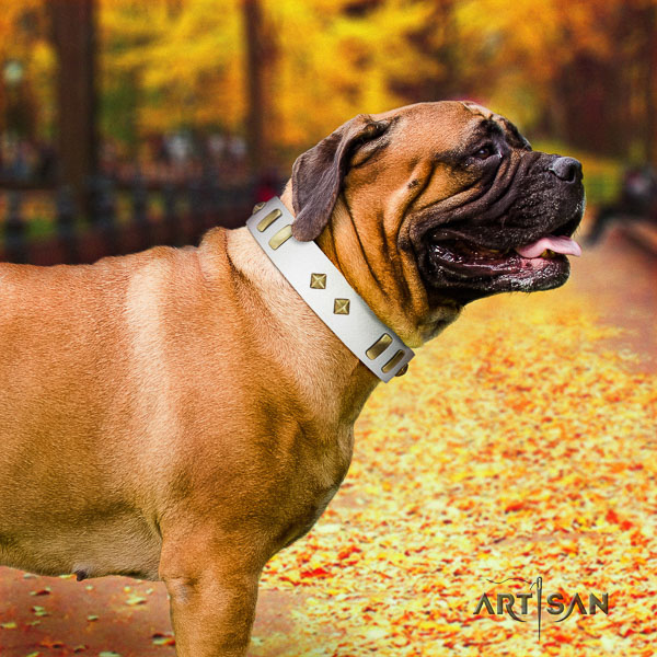 Bullmastiff daily walking genuine leather collar with studs for your doggie