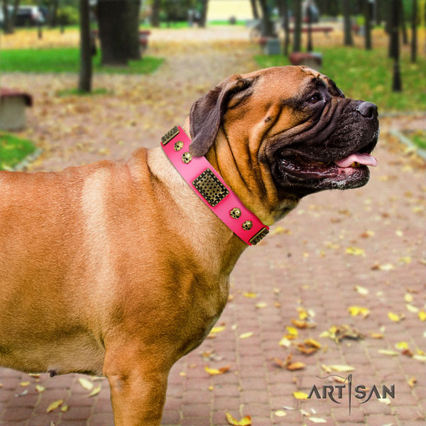 Bullmastiff embellished full grain natural leather dog collar for your lovely pet