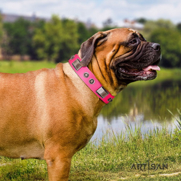 Bullmastiff full grain leather dog collar with adornments for your beautiful doggie