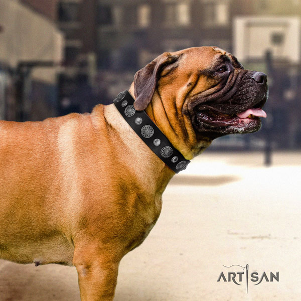 Bullmastiff leather dog collar with adornments for your handsome doggie