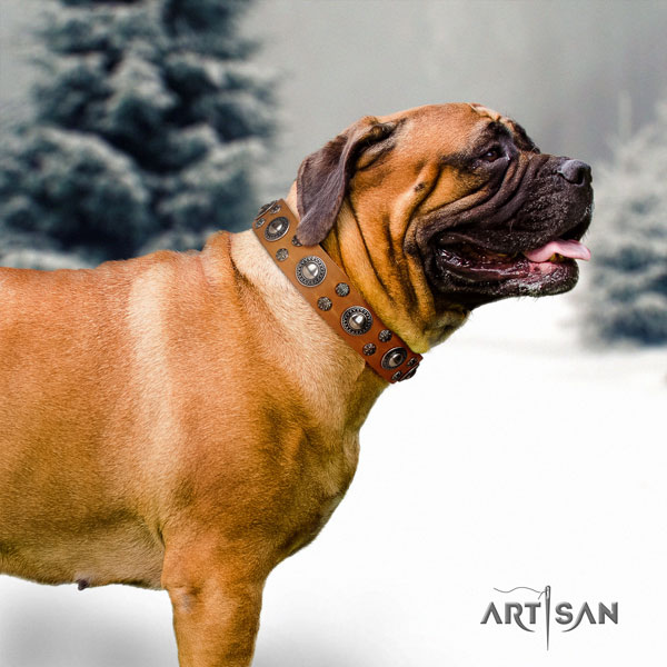 Bullmastiff adorned leather dog collar for your lovely dog