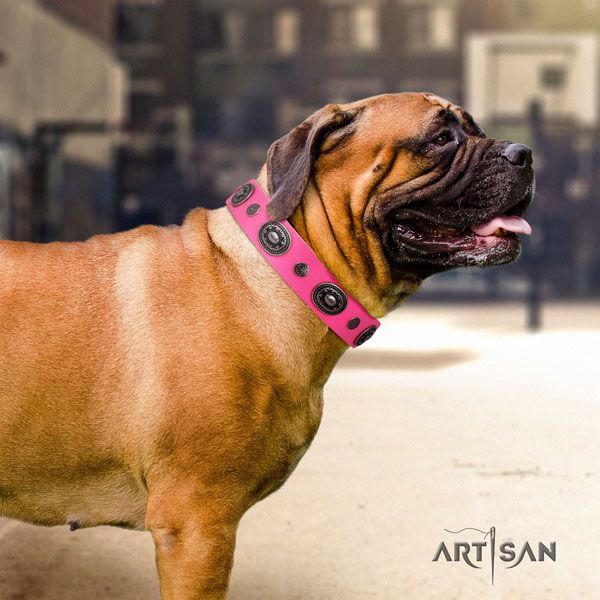 Bullmastiff embellished natural genuine leather dog collar for your handsome canine