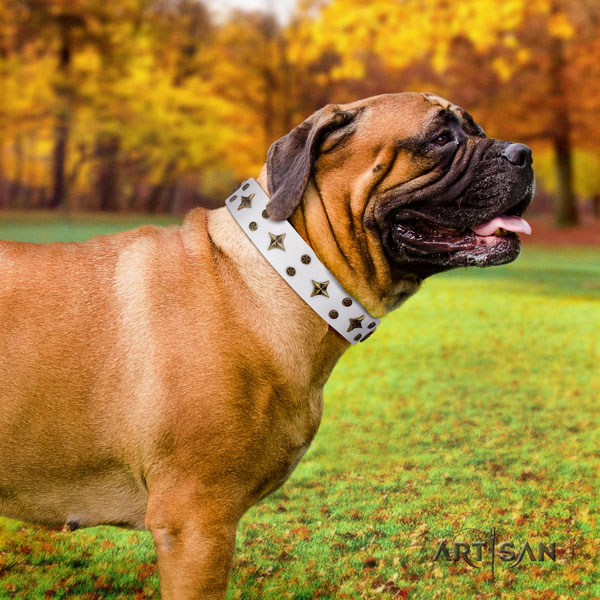 Bullmastiff embellished full grain genuine leather dog collar for your beautiful pet
