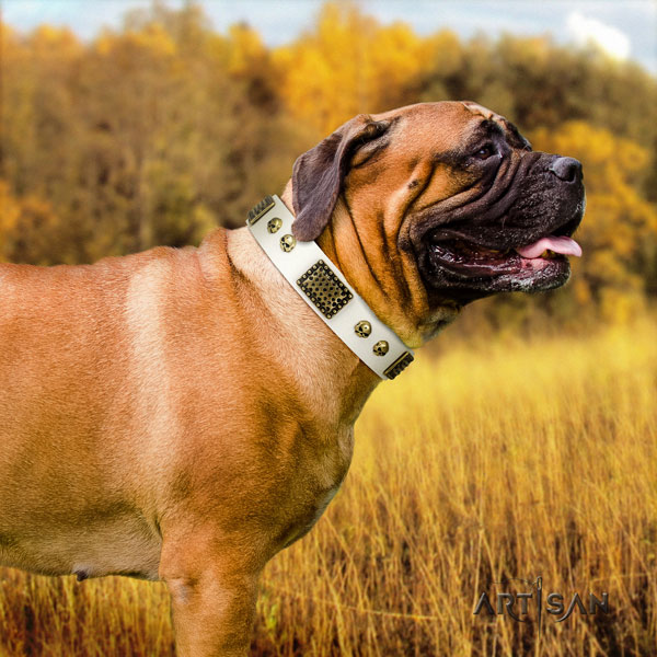Bullmastiff embellished full grain genuine leather dog collar for your impressive dog