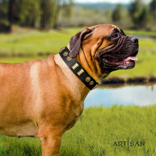 Bullmastiff leather dog collar with embellishments for your beautiful doggie