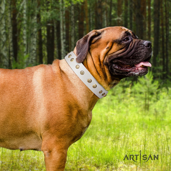 Bullmastiff decorated genuine leather dog collar for your handsome dog