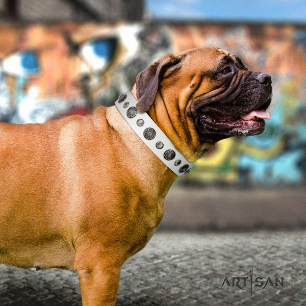 Bullmastiff genuine leather dog collar with studs for your attractive canine