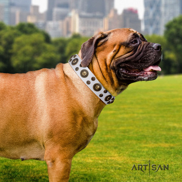 Bullmastiff decorated full grain natural leather dog collar for your stylish doggie