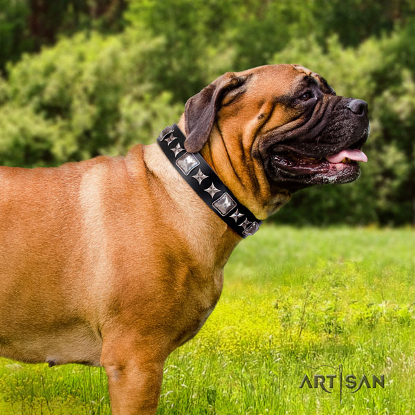 Bullmastiff decorated genuine leather dog collar for your lovely pet